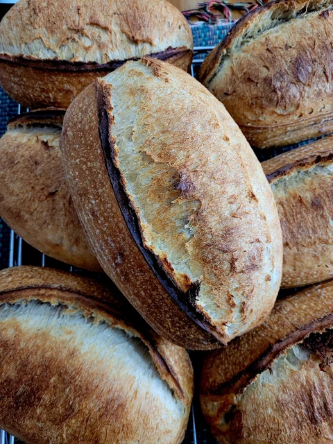 Fornada de pães rústicos artesanais recém-assados